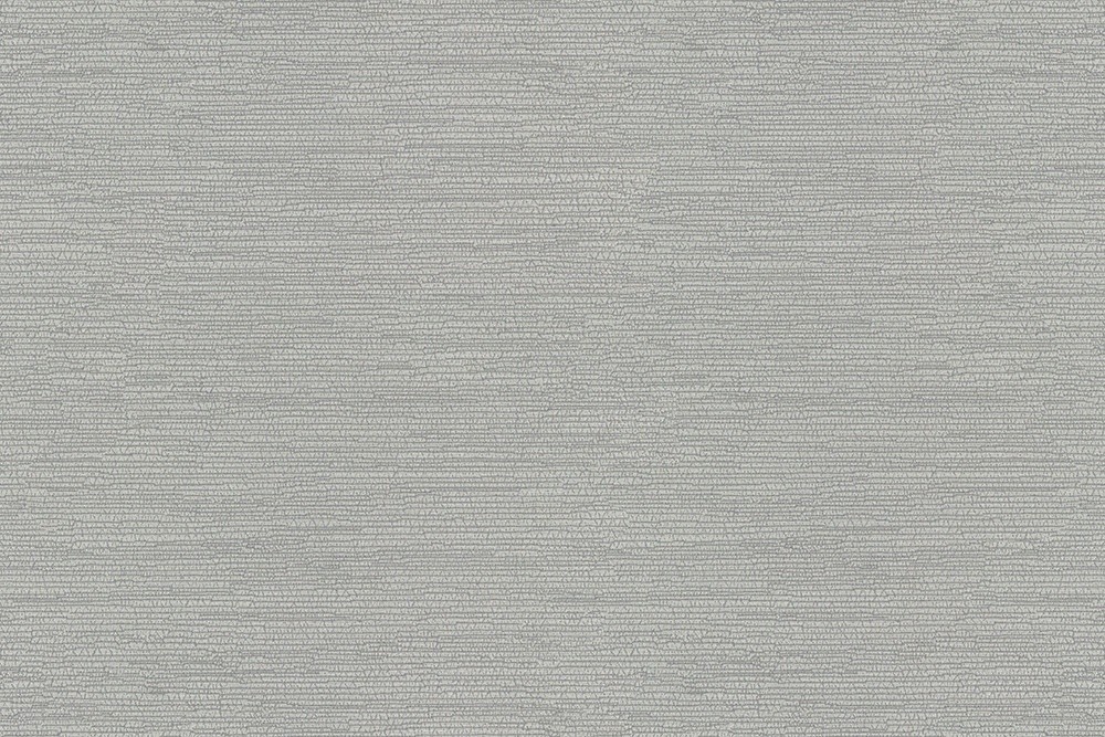 H1005-02