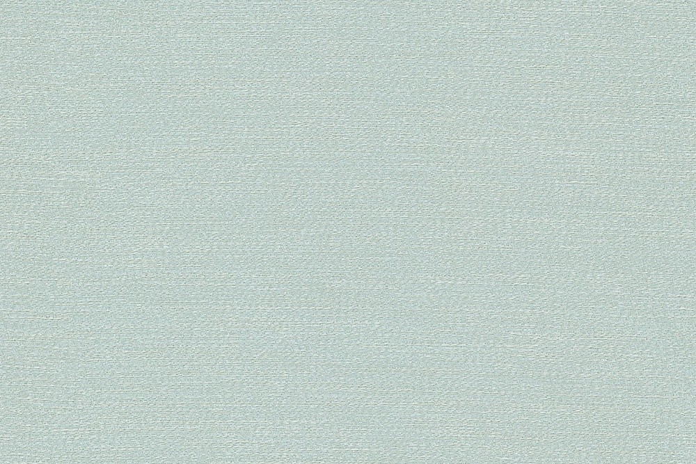 H1006-06