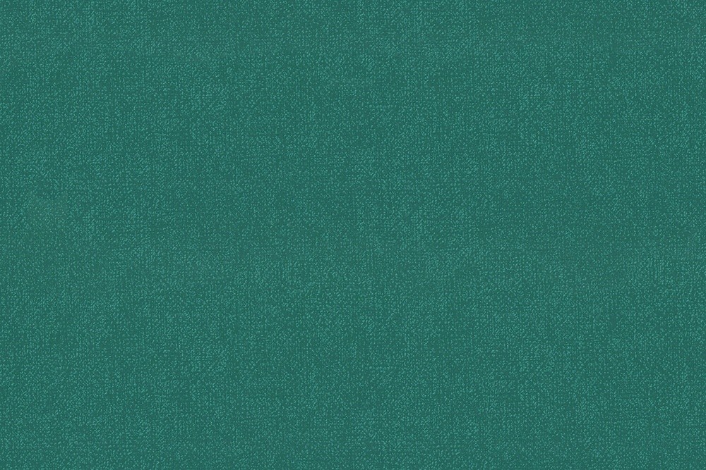 H1001-13