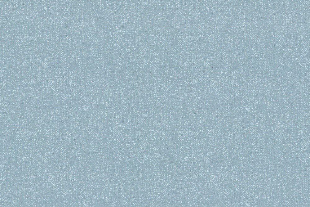 H1001-09