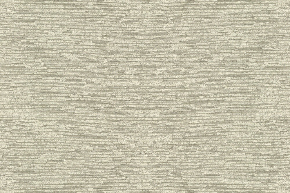 H1005-07
