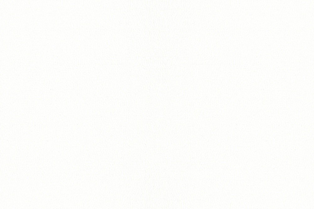 H1004-01