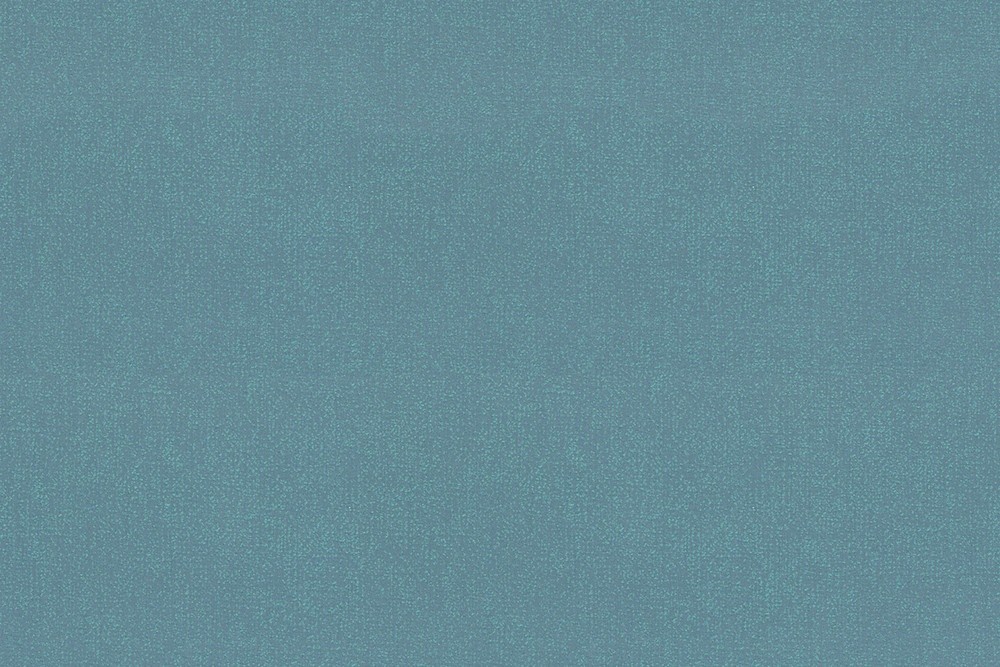H1001-11