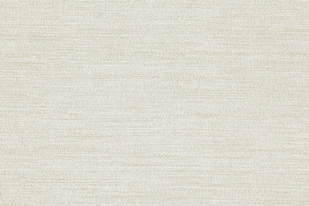 H1006-02