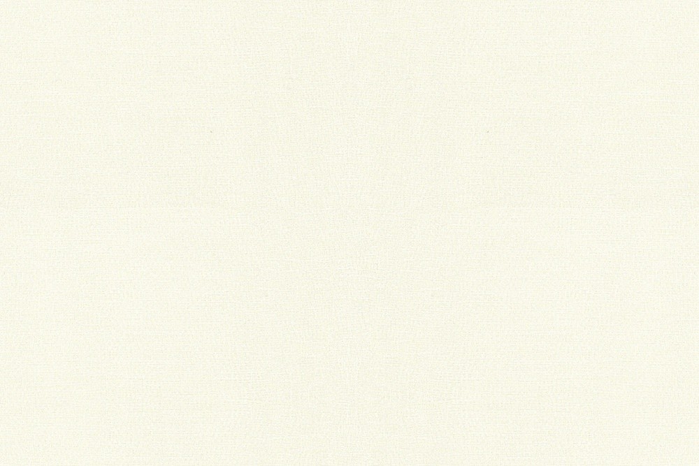 H1004-02