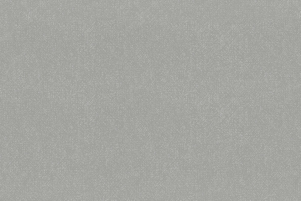 H1001-04