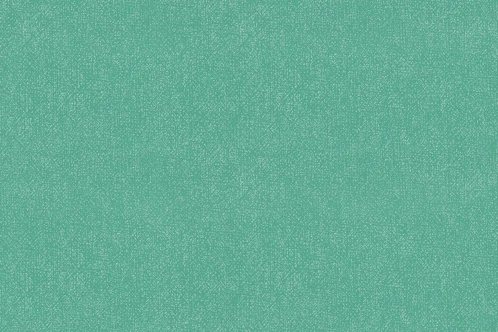 H1001-14