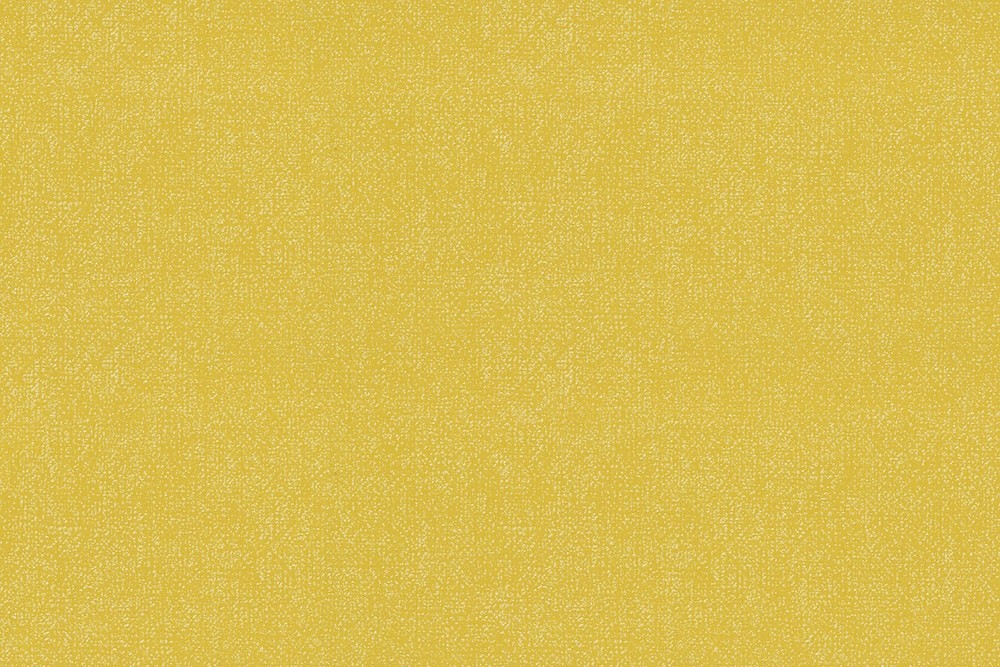 H1001-20