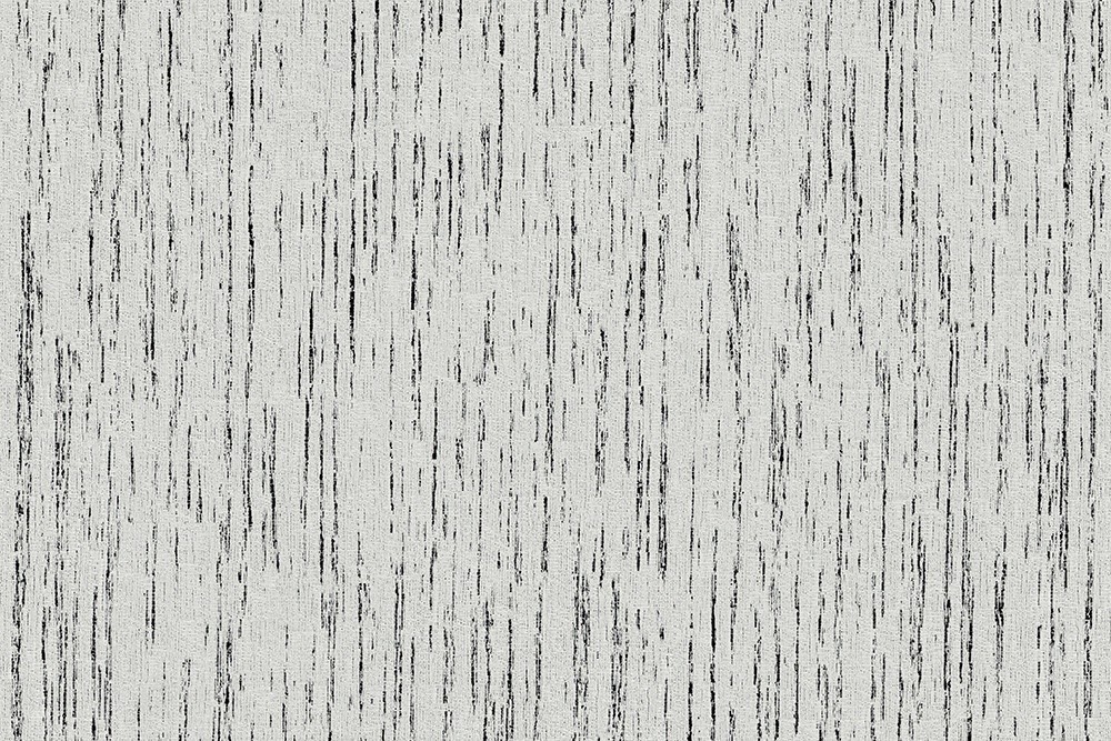 H1003-06