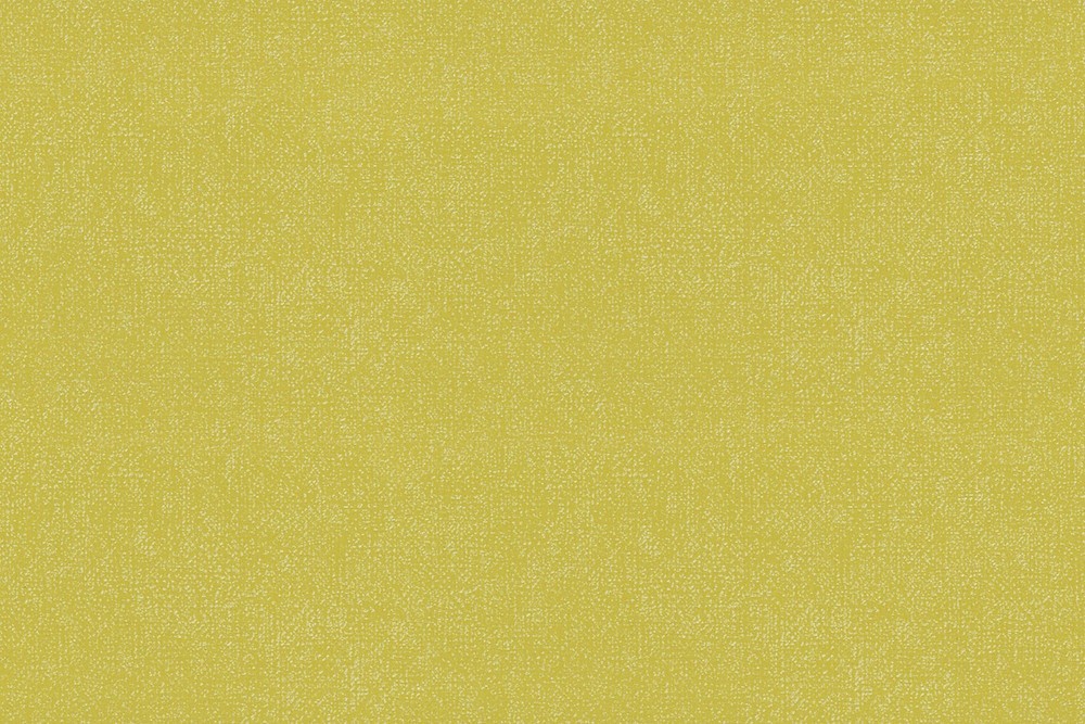 H1001-19