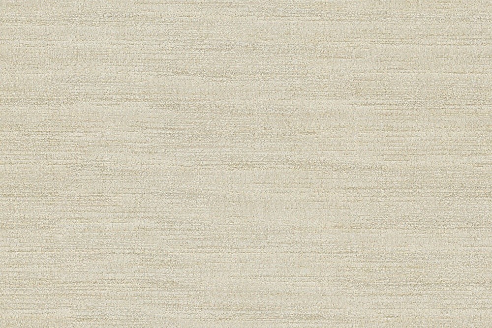 H1006-04