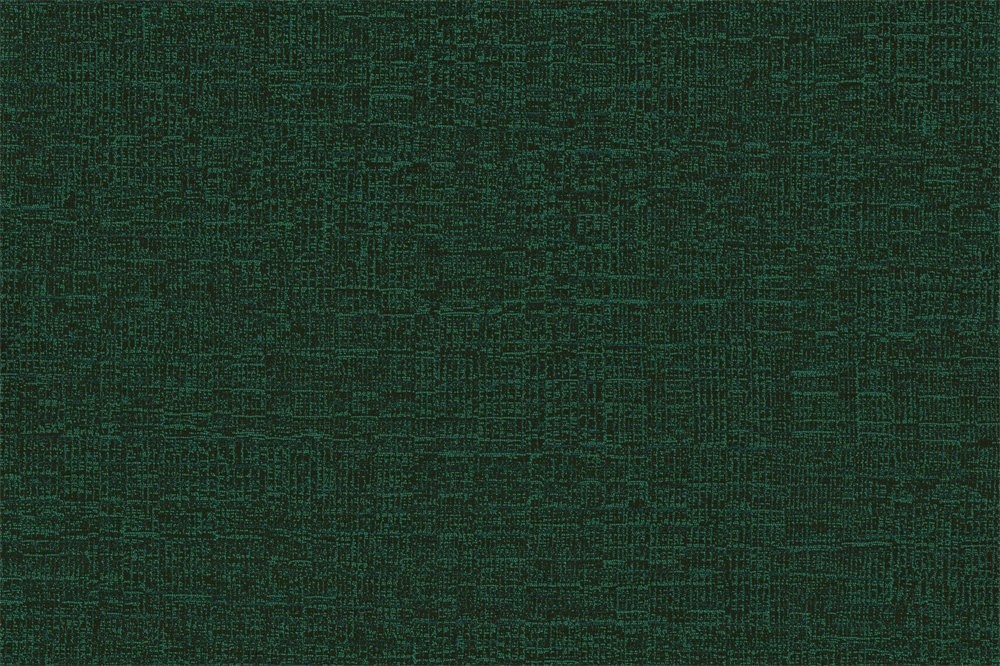 G8819-11