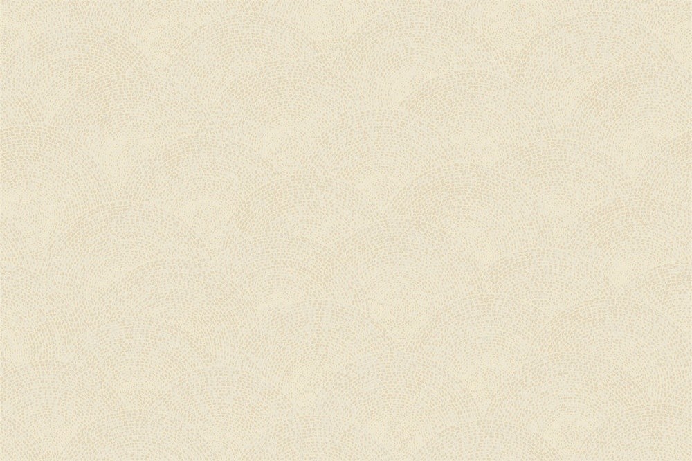 G8116-02