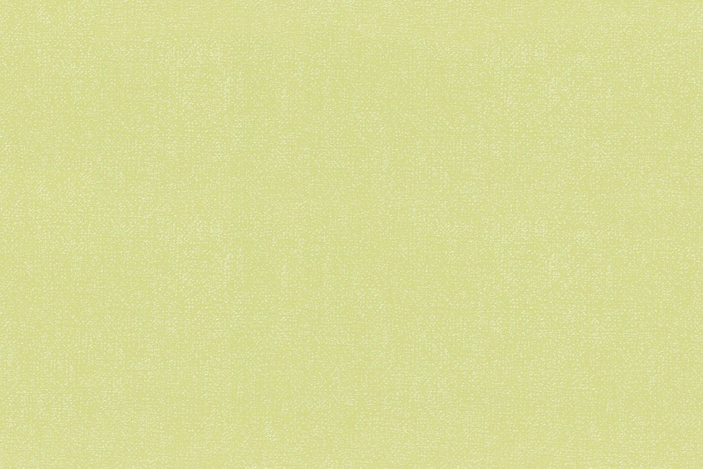 H1001-16