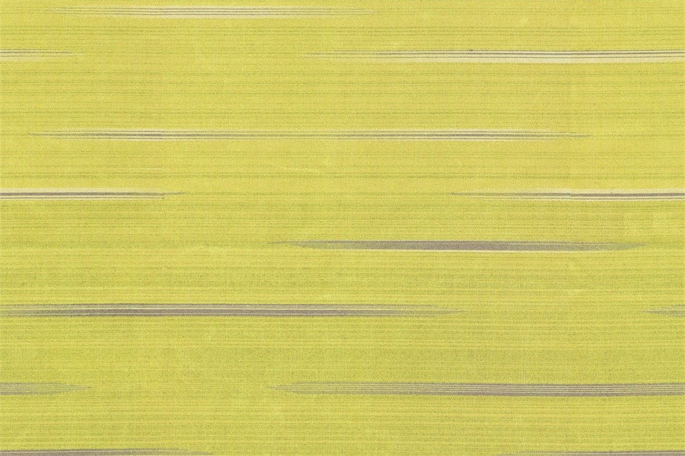 G1811-07