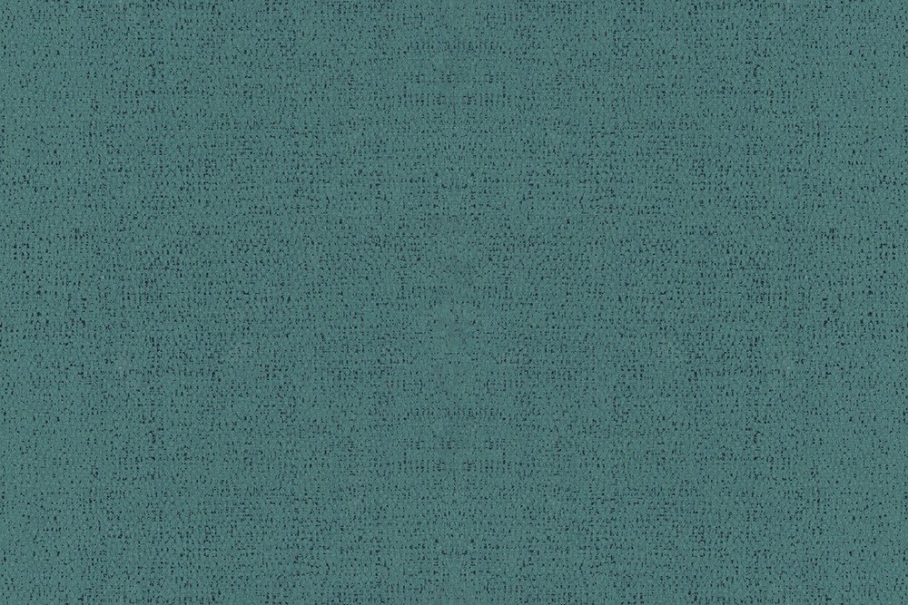 H1004-10