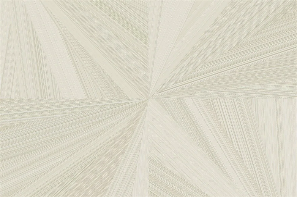 Banira — Işınsal Geometrik Desenli Perdelik Kumaş