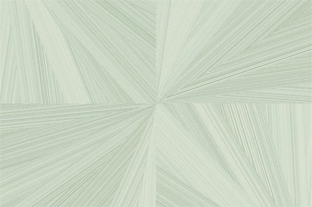 Banira — Işınsal Geometrik Desenli Perdelik Kumaş