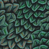 Davena Mint