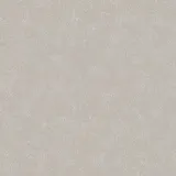 Walisa Açık Gri