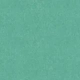 Janda Mint