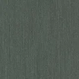 Paria Koyu Gri