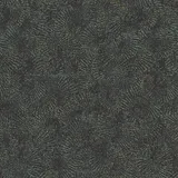 Kauca Koyu Gri